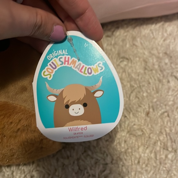 8” Wilfred Squishmallow - Picture 2 of 2